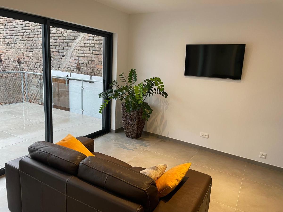 Les Duplex Solaires Apartment Duppigheim Екстериор снимка